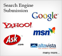 Search engine submission